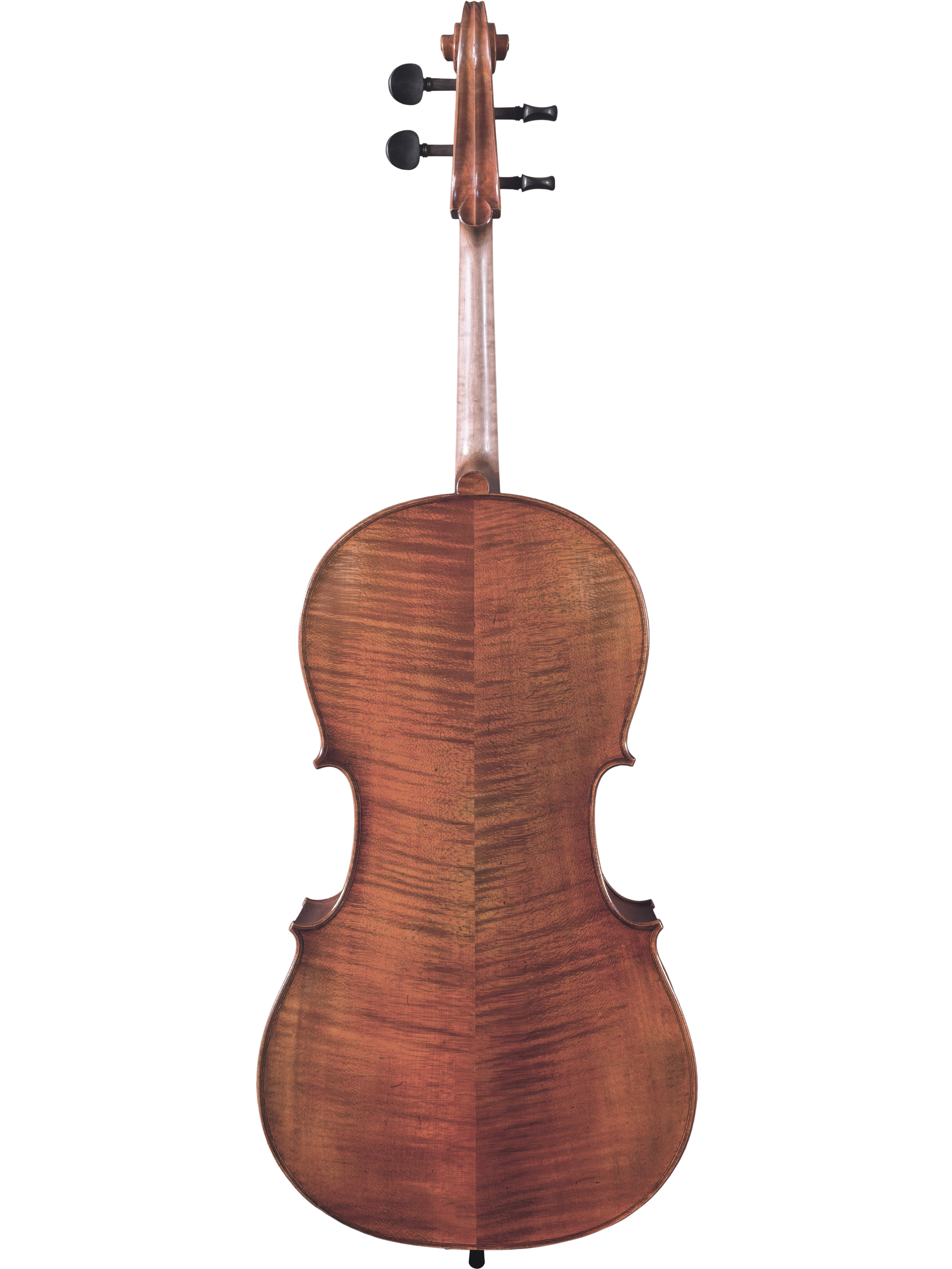 Master Linn Cello — Maple Leaf Strings